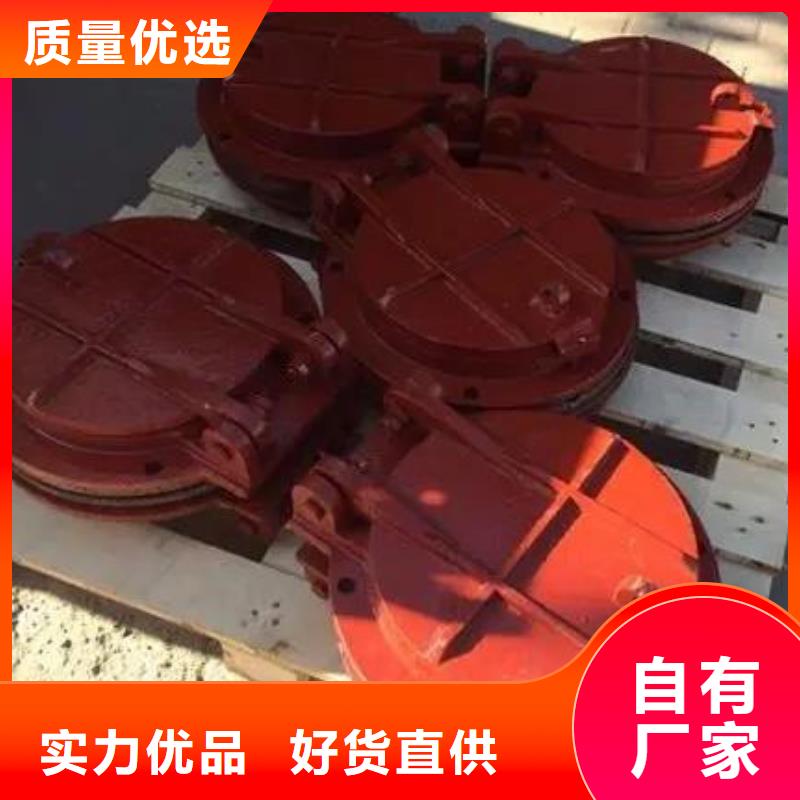 拍门【球墨铸铁闸门厂家】材质实在