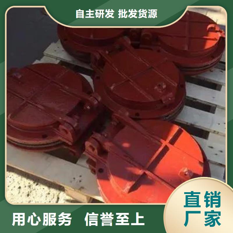 拍门-铸铁闸门厂家经验丰富质量放心