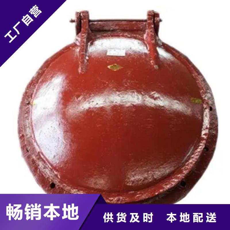 拍门 【铸铁闸门】专业品质