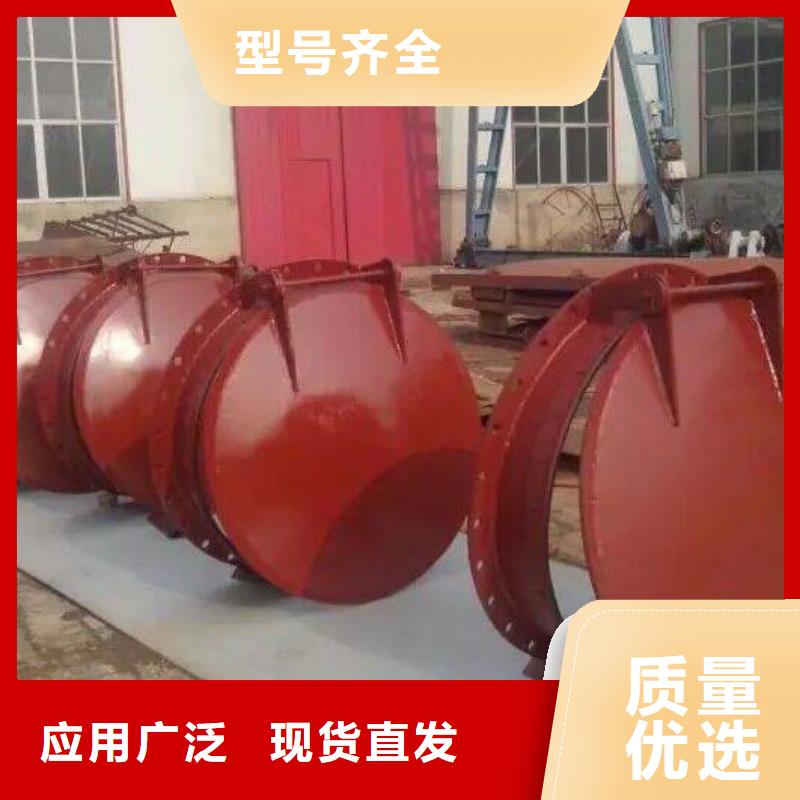 【拍门铸铁拍门诚信可靠】