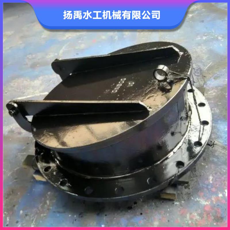 拍门球墨铸铁闸门厂家用心做产品