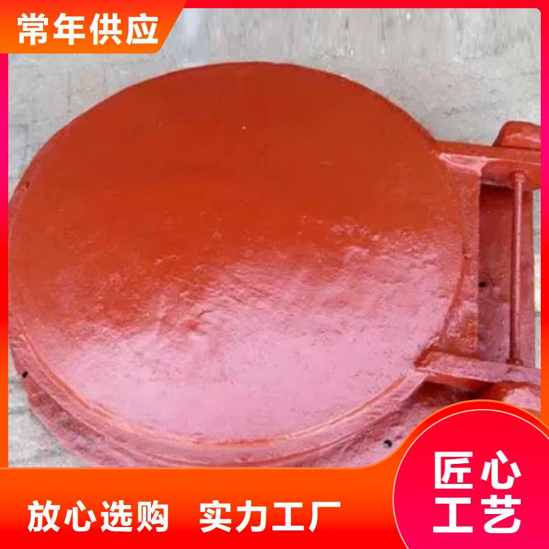 拍门产品细节参数