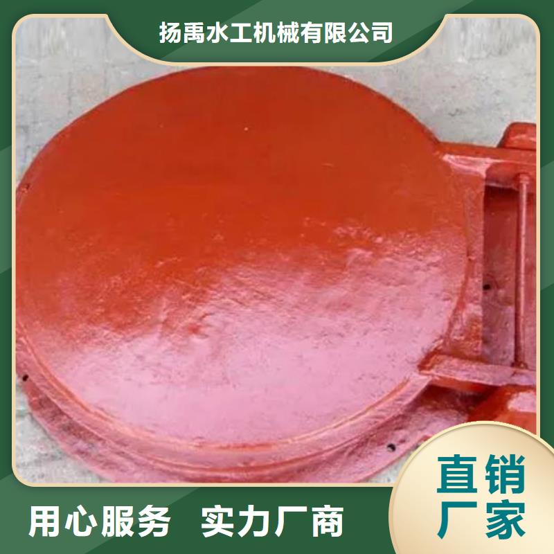 拍门不锈钢拍门生产型