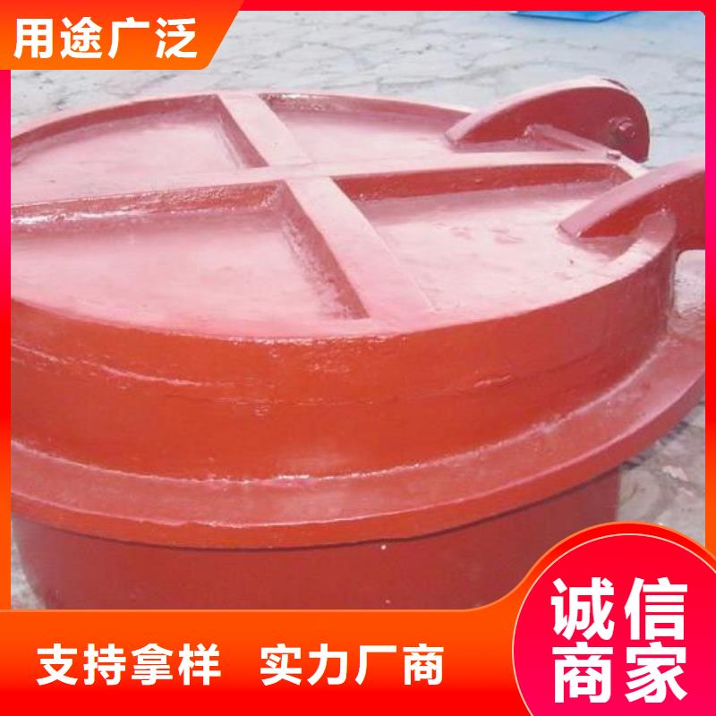 拍门_电动装置启闭机您身边的厂家