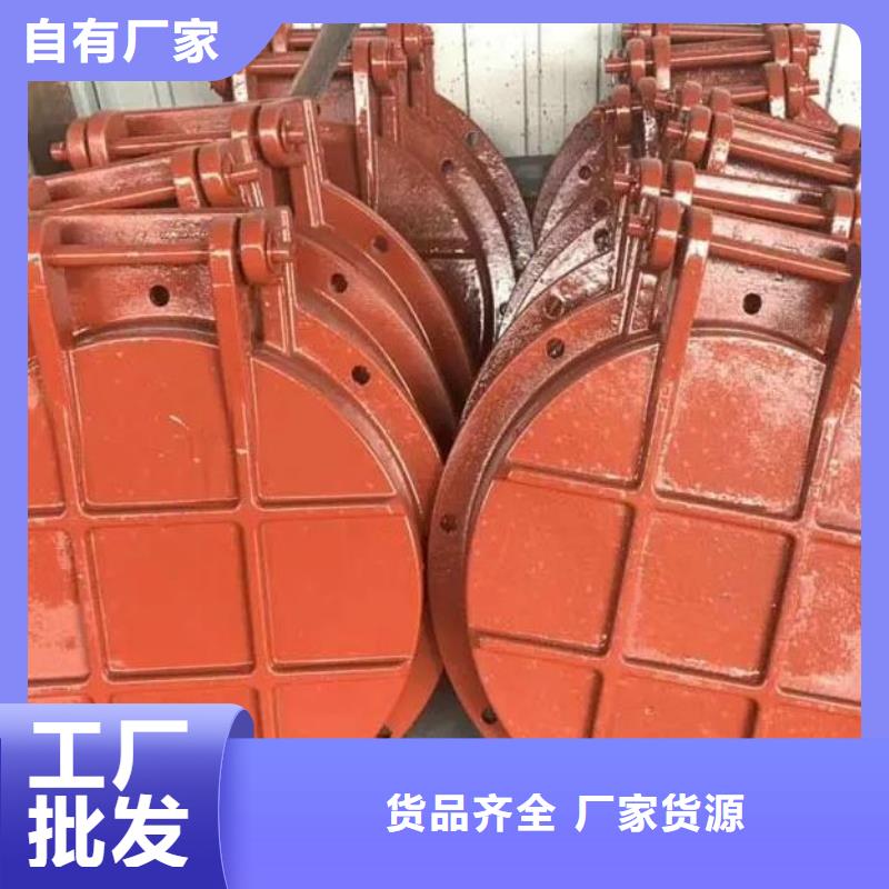 拍门【球墨铸铁闸门厂家】材质实在