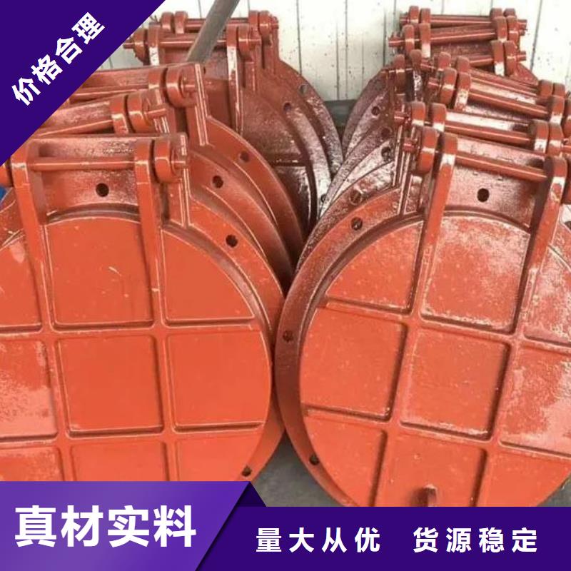 拍门机闸一体式闸门物美价优