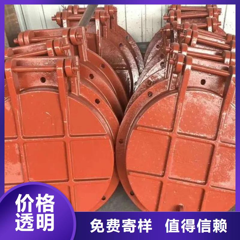 拍门 【铸铁闸门】专业品质