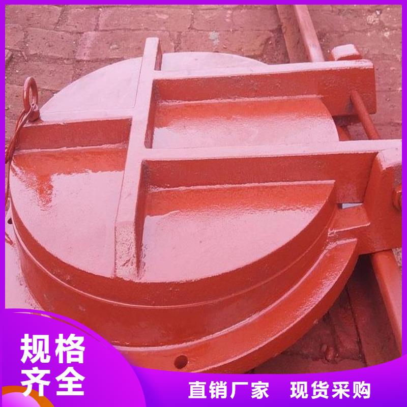 拍门【铸铁闸门】精心打造
