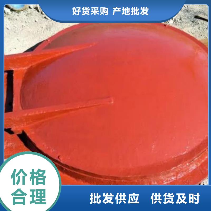拍门 【铸铁闸门】专业品质