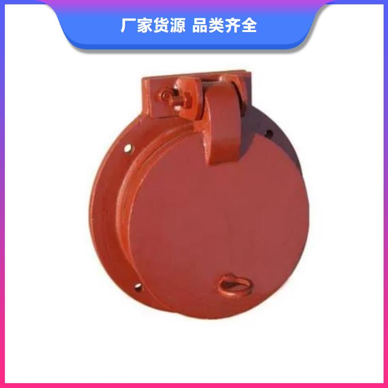 拍门【机闸一体式闸门】货源稳定