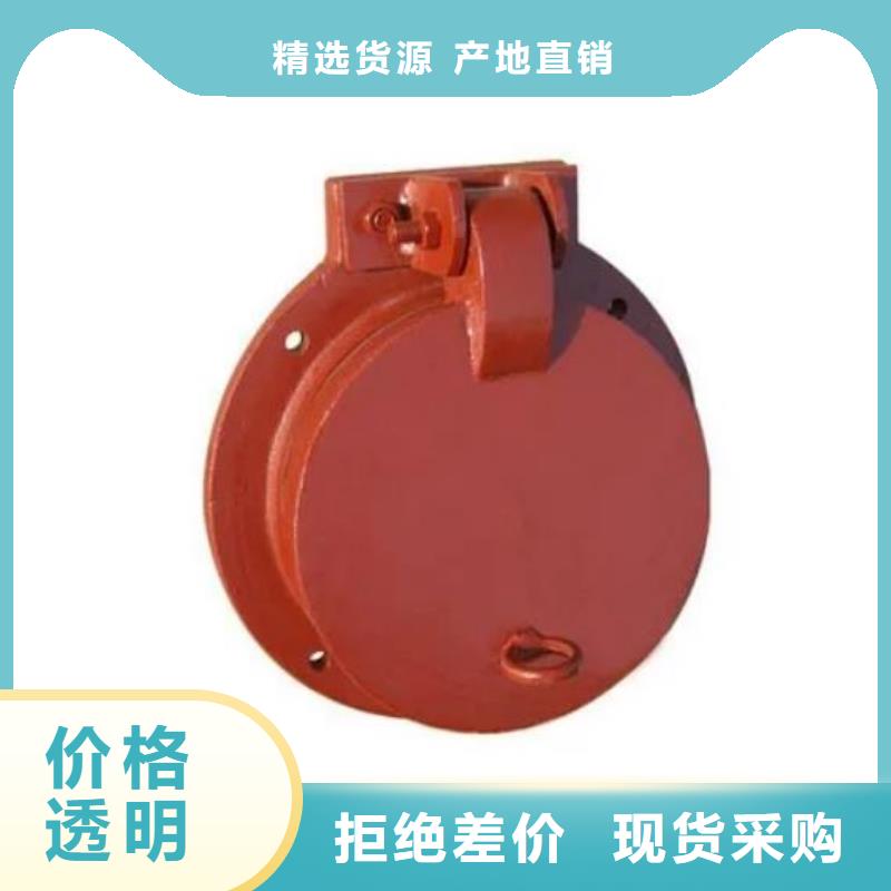 拍门球墨铸铁闸门源头厂家