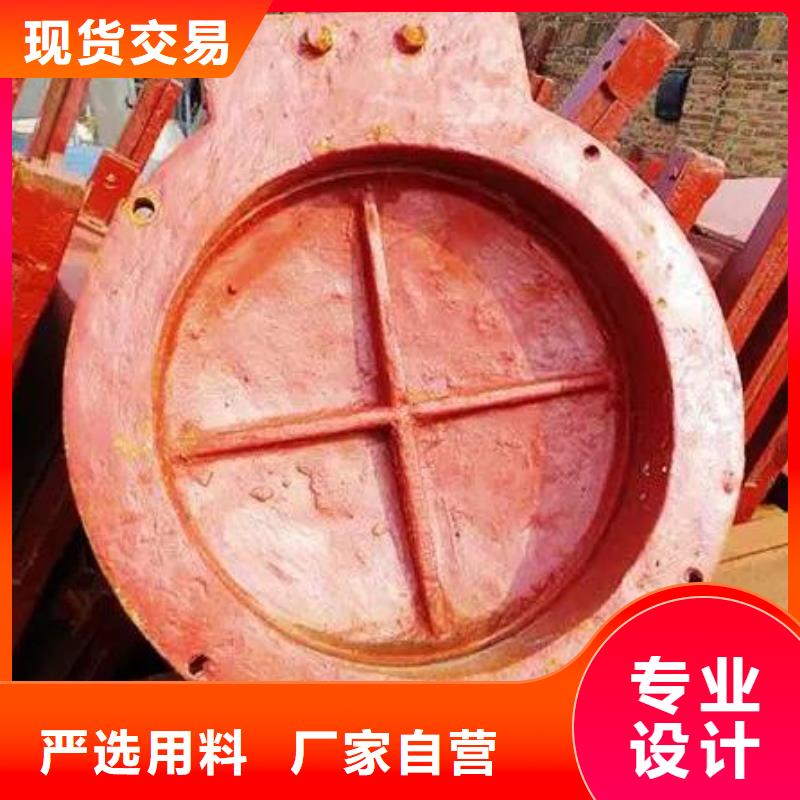拍门-【钢制拍门厂家】厂家型号齐全