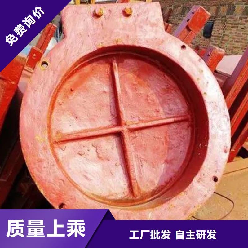 拍门 【铸铁拍门】快捷的物流配送