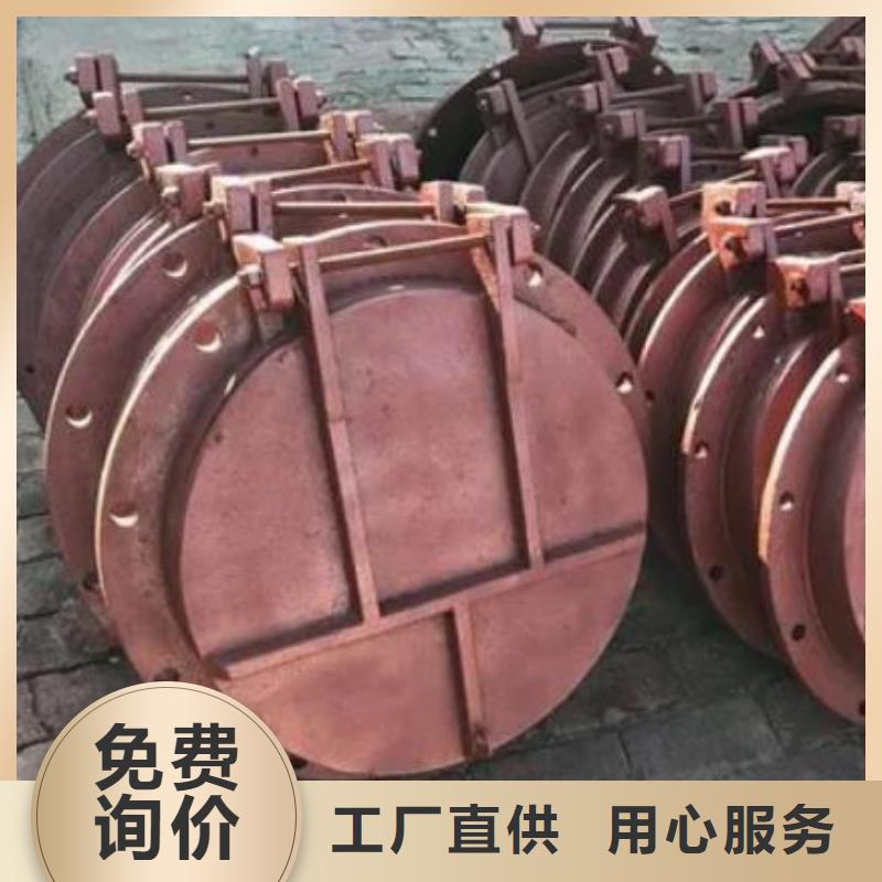 拍门-铸铁闸门厂家经验丰富质量放心