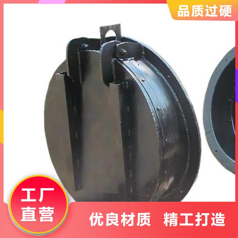 拍门 【铸铁闸门】专业品质