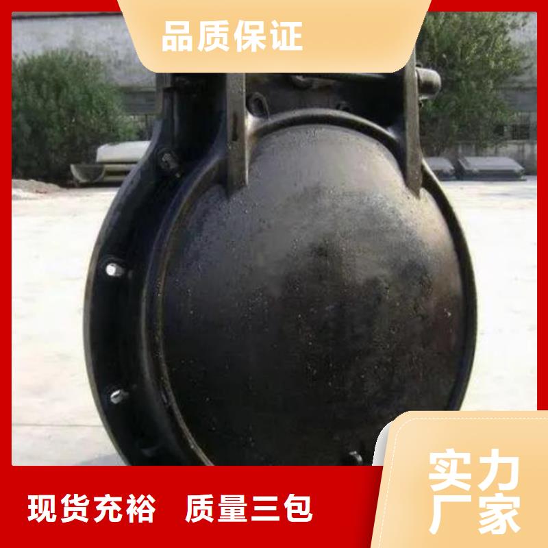 拍门球墨铸铁闸门无中间商厂家直销
