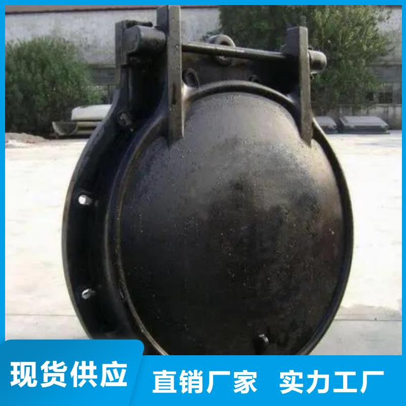 拍门_【螺杆启闭机】有实力有经验