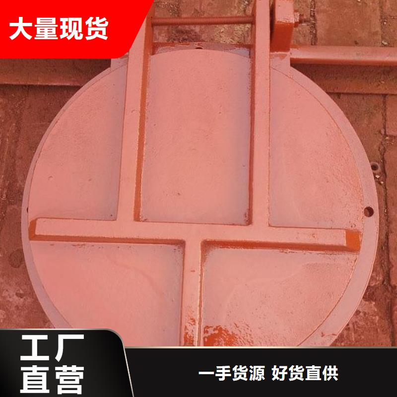 【拍门】_钢制闸门卓越品质保障