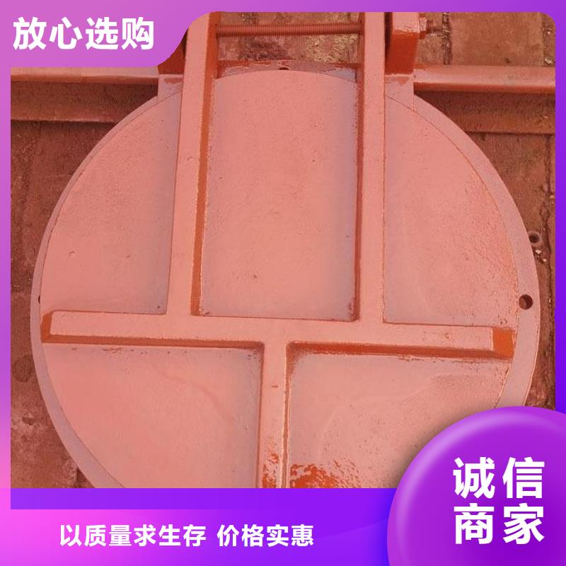 拍门铸铁闸门一站式采购商