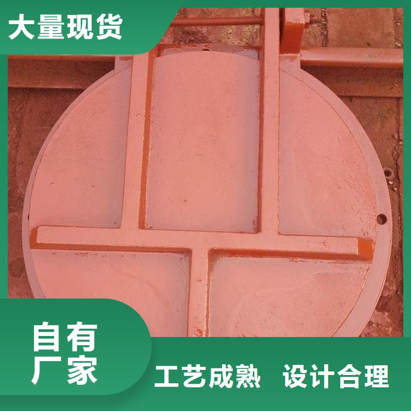 拍门球墨铸铁闸门厂家经验丰富