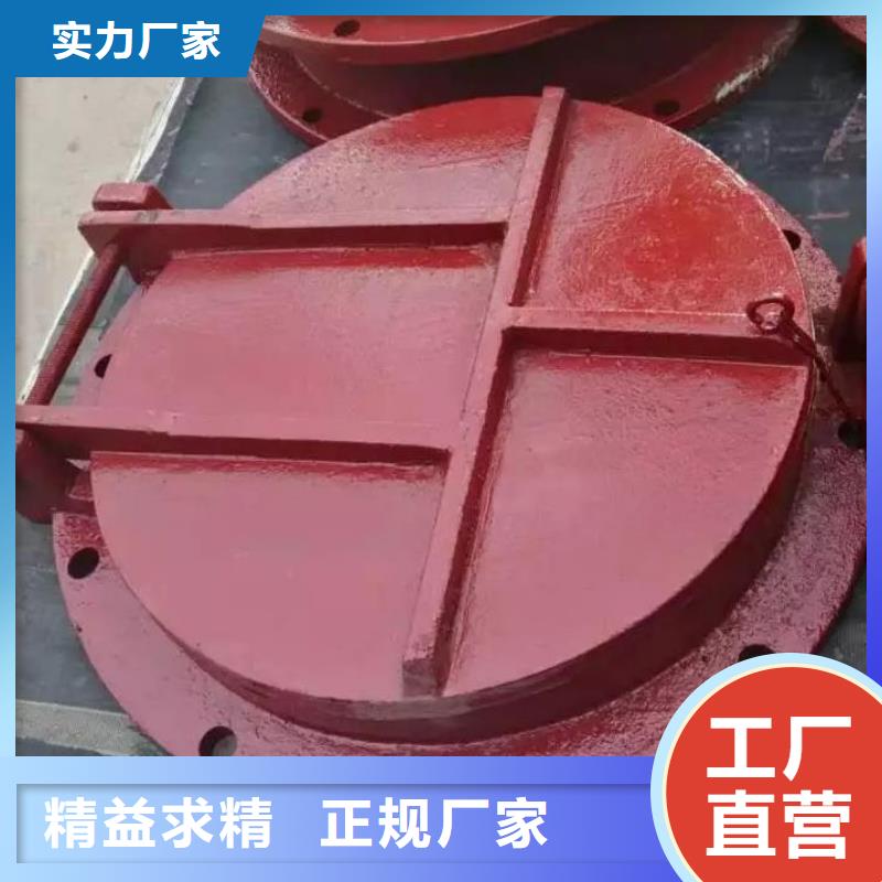 拍门,钢制拍门同行低价
