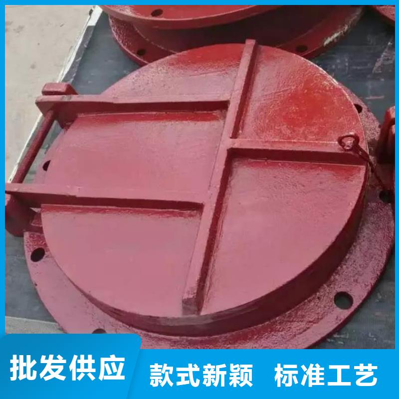 【拍门】-卷扬启闭机厂家品质保障售后无忧