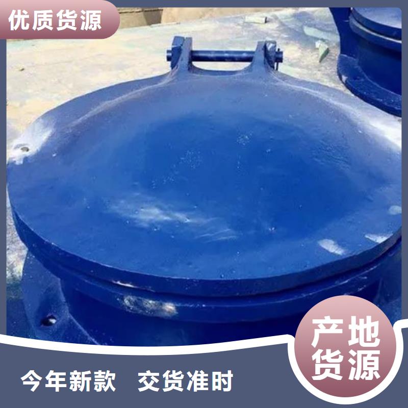 拍门 玻璃钢拍门多种工艺