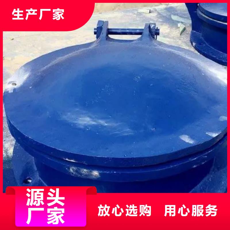 拍门【铸铁闸门】精心打造