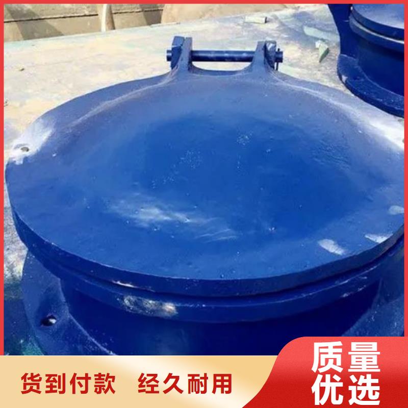 拍门不锈钢闸门有口皆碑