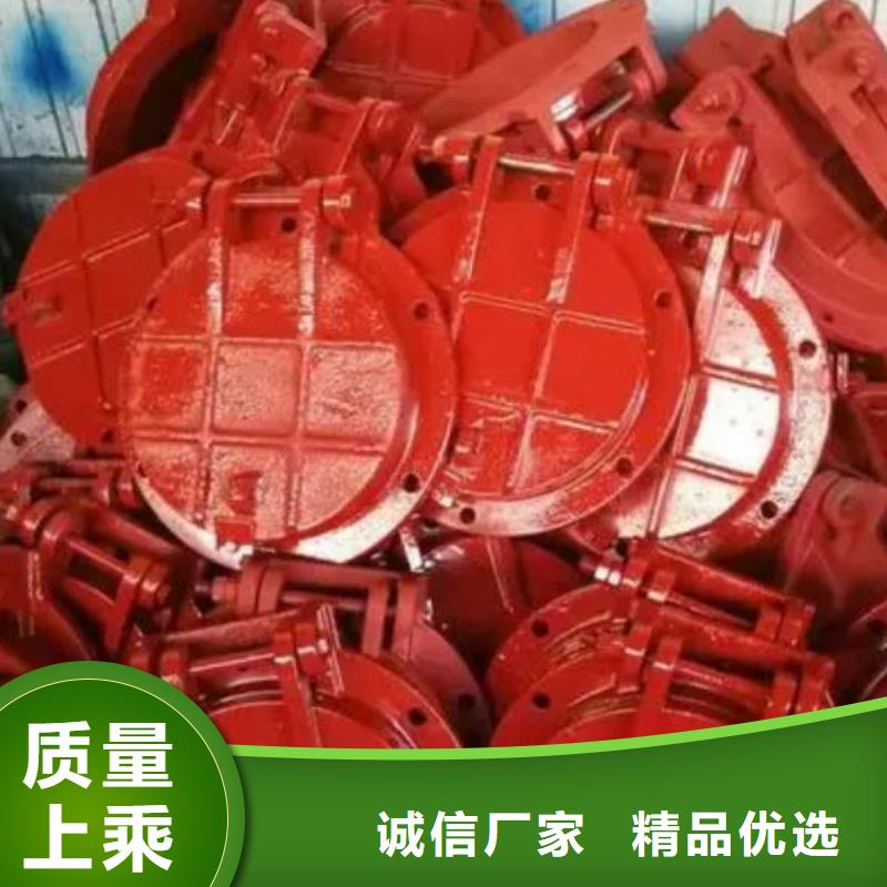 【拍门钢制拍门品质值得信赖】