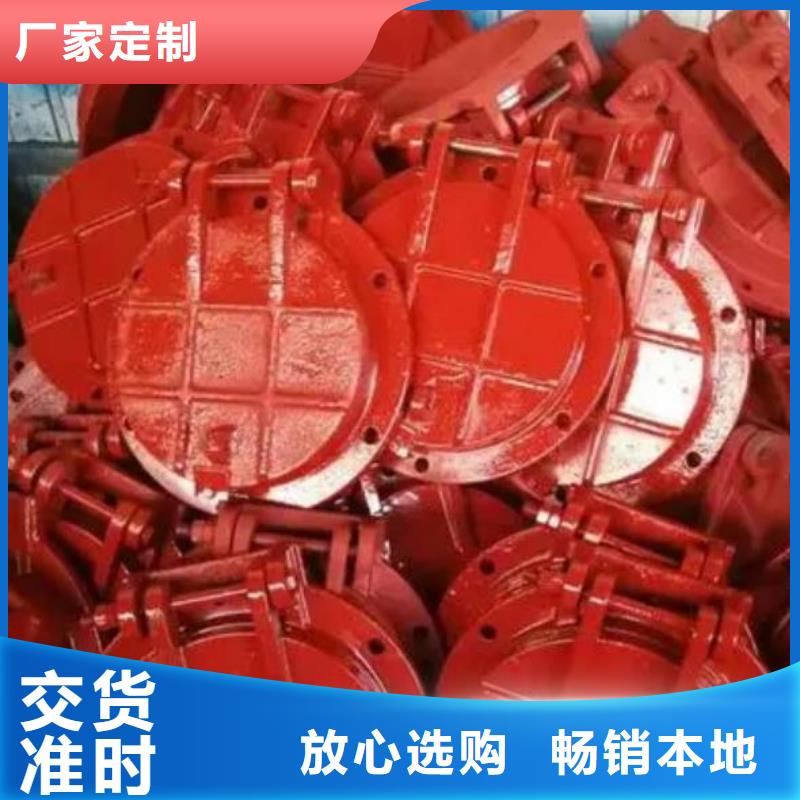 拍门支持加工定制