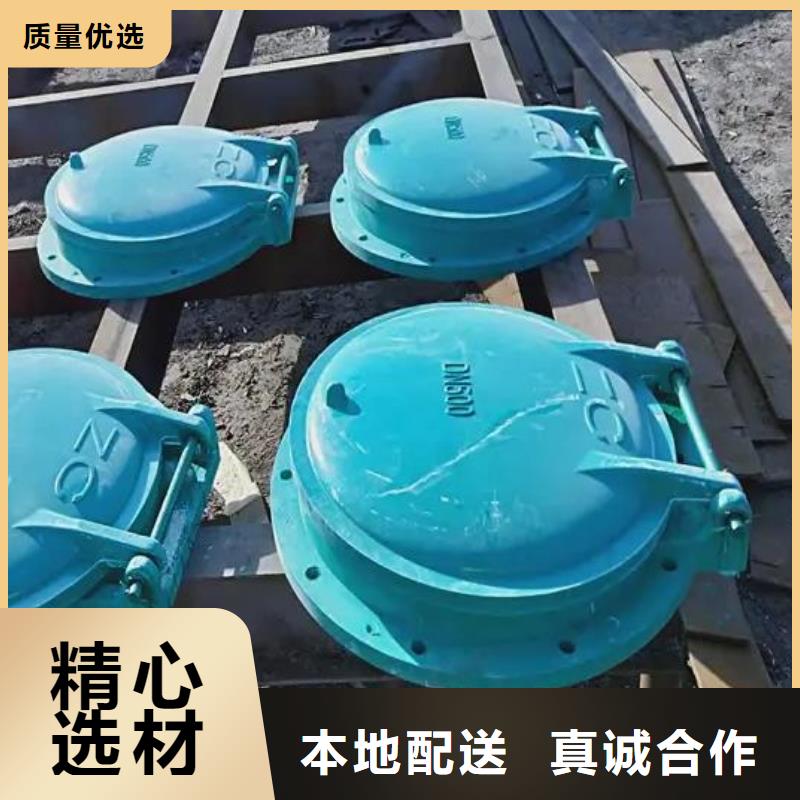 【拍门】玻璃钢拍门从厂家买售后有保障