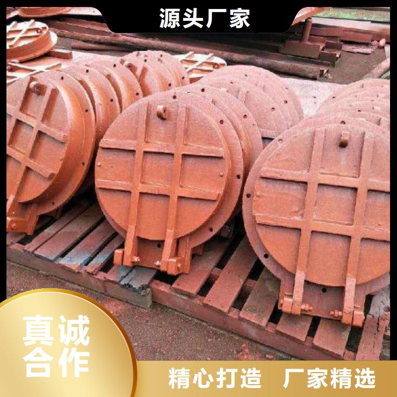 【拍门】,启闭机诚信商家