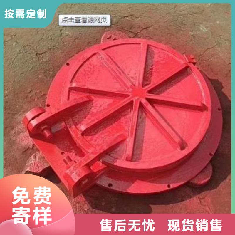 拍门 玻璃钢拍门多种工艺
