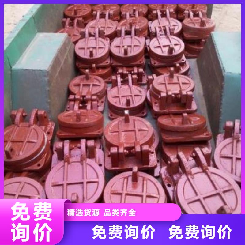 拍门卷扬启闭机厂家用的放心