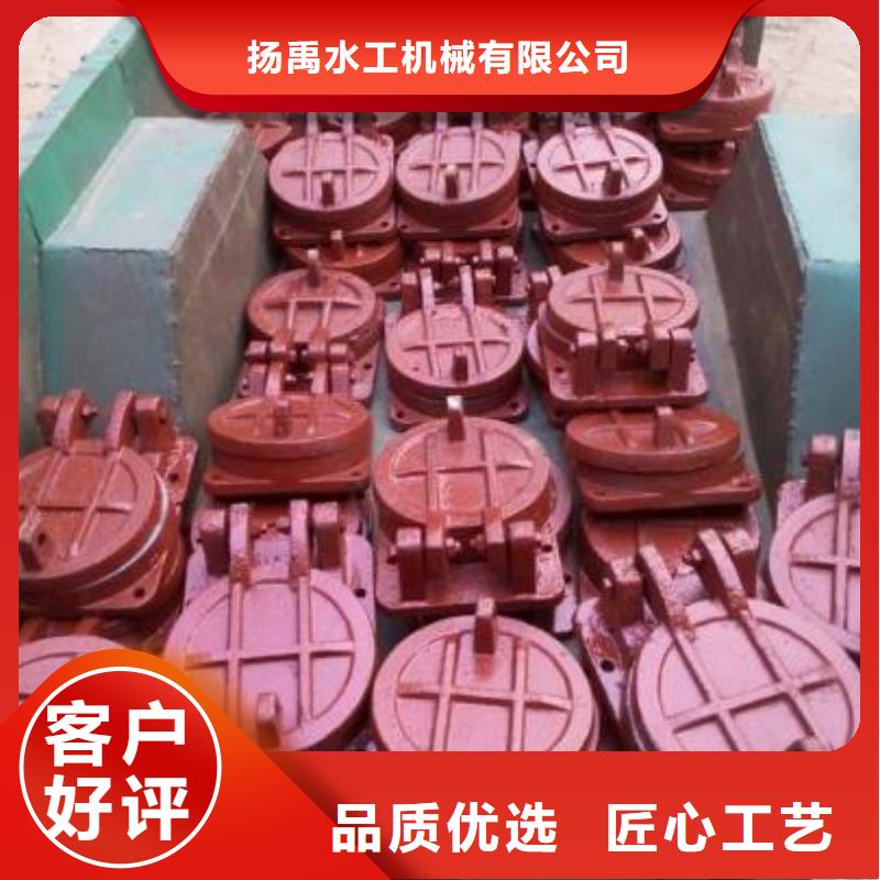 【拍门平板钢闸门物美价优】