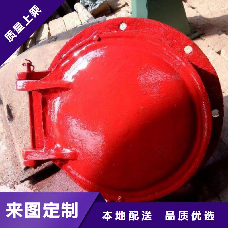 金堂|青白江|甘孜|遂宁|乐山|宜宾|眉山【拍门】-铸铁闸门厂家厂家自营-清污机