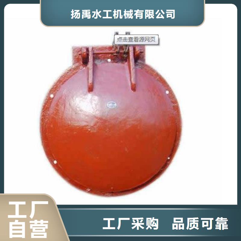 拍门拦污栅厂家