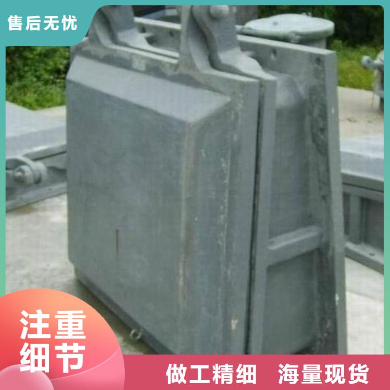 拍门 【钢制拍门厂家】本地配送