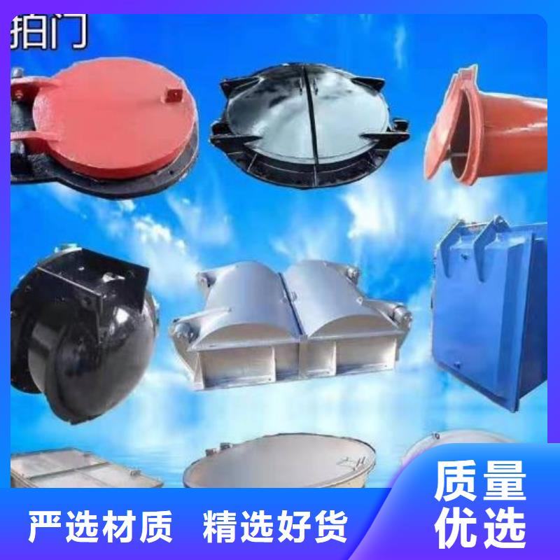 拍门 【扇形闸门】价格合理 河畔水利机械厂(襄阳市分公司)