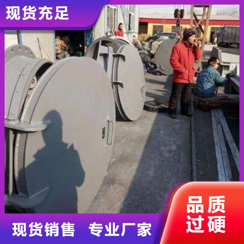 拍门卷扬启闭机专注生产N年