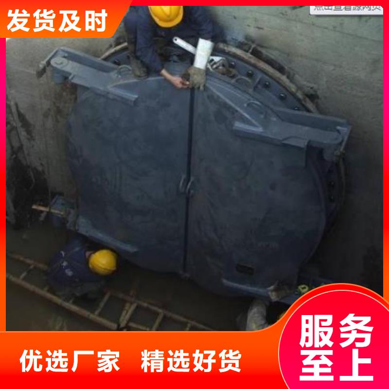 金堂|青白江|甘孜|遂宁|乐山|宜宾|眉山【拍门】-铸铁闸门厂家厂家自营-清污机
