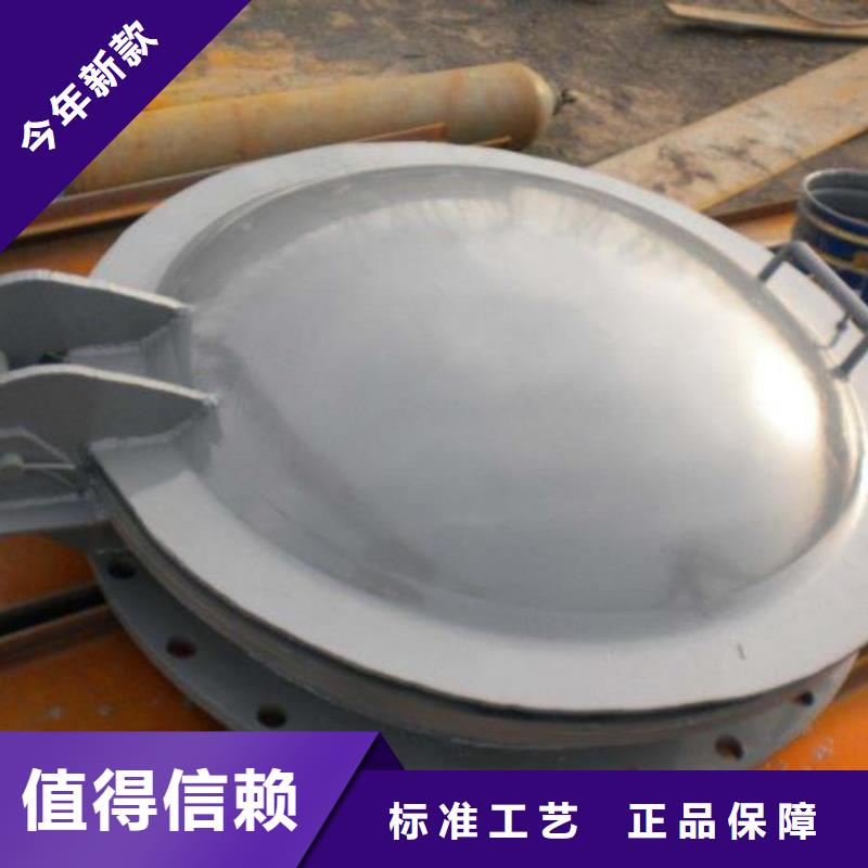 【拍门不锈钢拍门高质量高信誉】