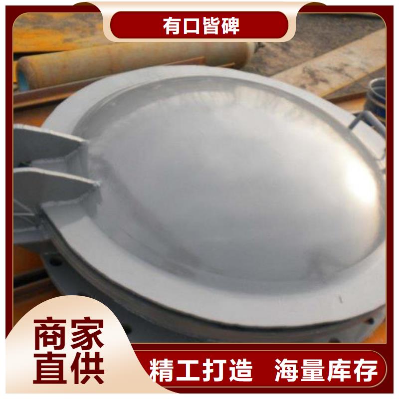 拍门铸铁闸门定制零售批发