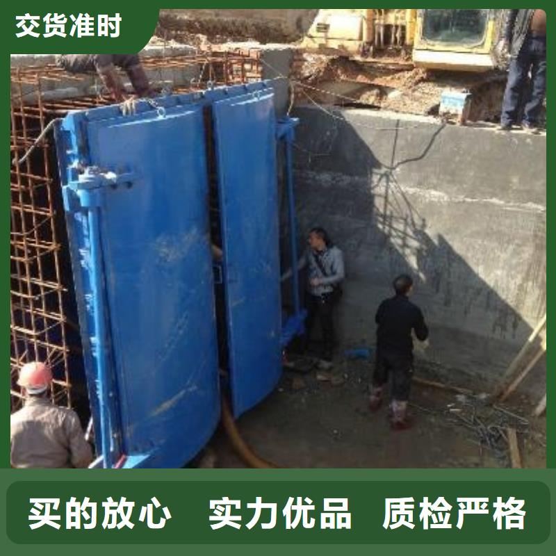 拍门 玻璃钢拍门多种工艺