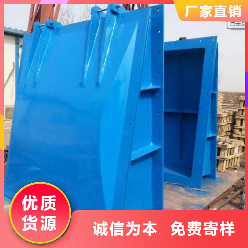 拍门钢制闸门用心经营