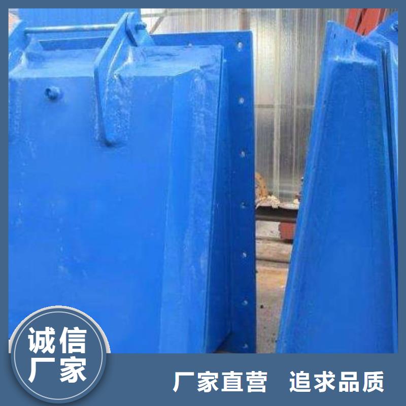 拍门球墨铸铁闸门优良工艺