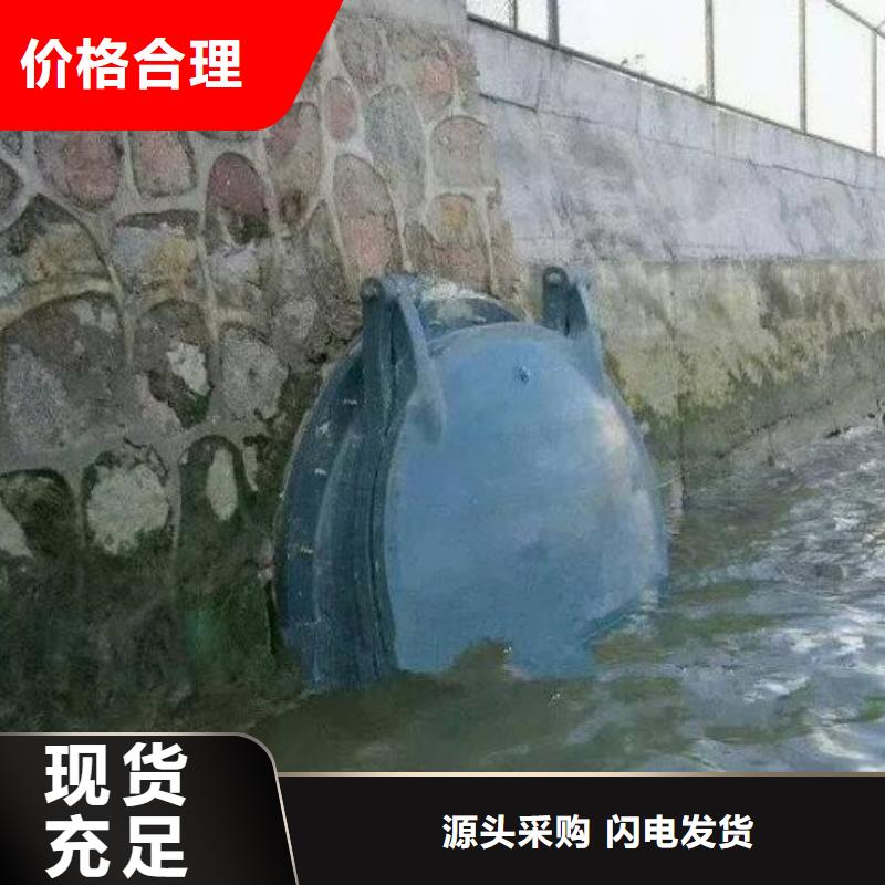拍门卷扬启闭机厂家匠心品质