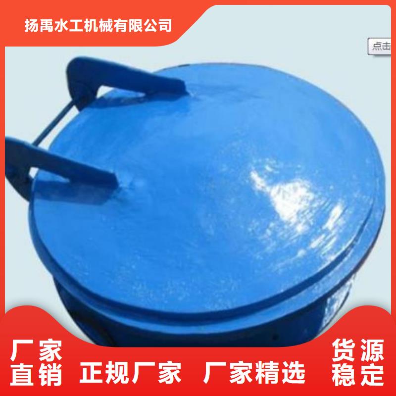 拍门-平板钢闸门当地厂家值得信赖