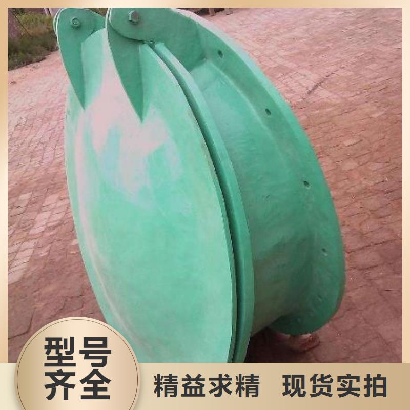 拍门拦污栅多种规格可选